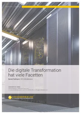 Facets of digital Transformation Big DE