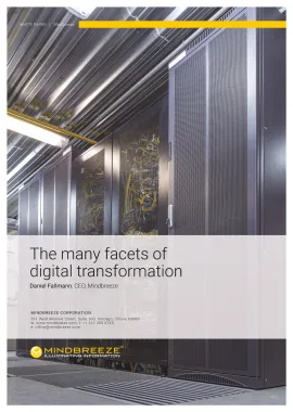 Facets of digital Transformation Big