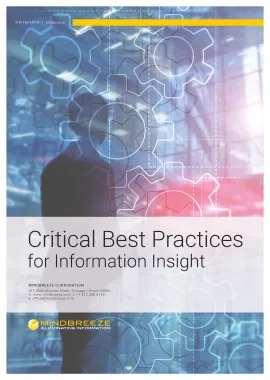 Critical Best Practices for Information Insight Page 1
