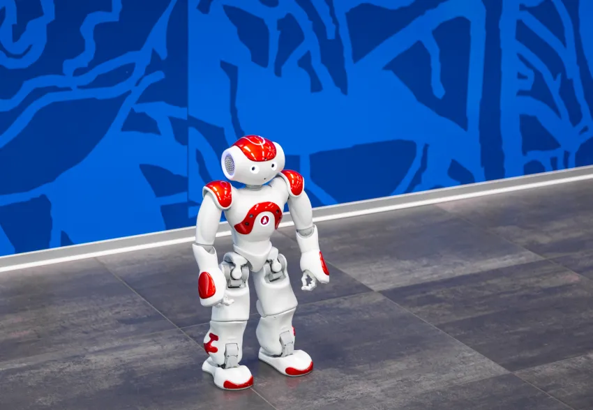 NAO Roboter